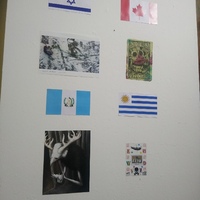 events /