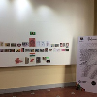 events /