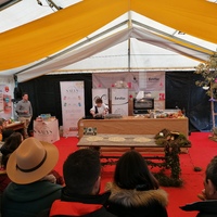events /