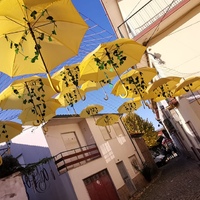 events /