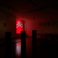 events /