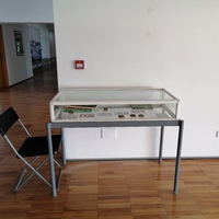 events /