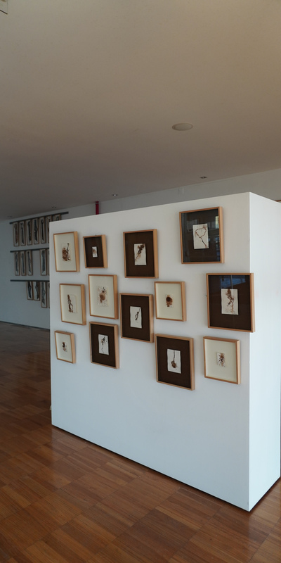 06.11.2021 > 11.12.2021 | EXHIBITION
