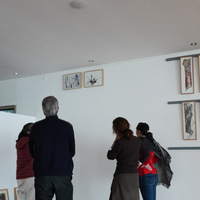 events /