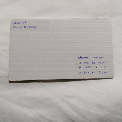 27.01.2022 . 14.30 | WORKSHOP
27.01.2022 . 14.30 | WORKSHOP