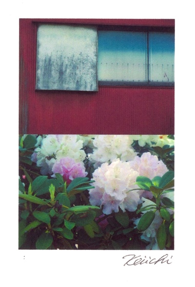 untitled
untitled