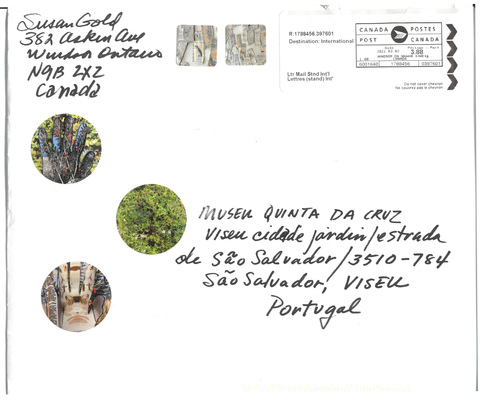 Jardinage Urbain
