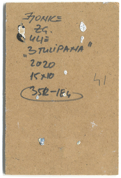 3 TULIPAHA
