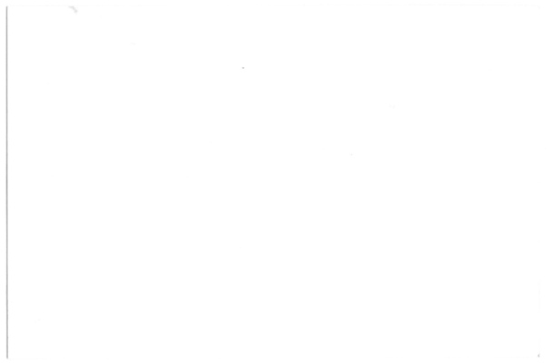 untitled
untitled