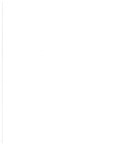 untitled
untitled