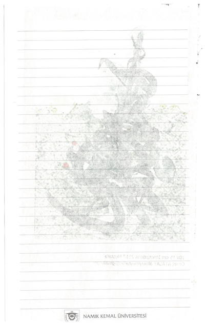 untitled
untitled