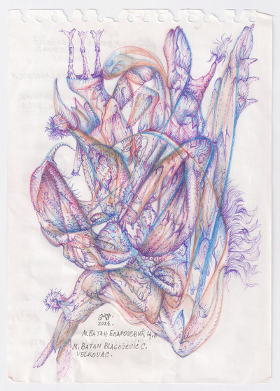 FLOWER
FLOWER