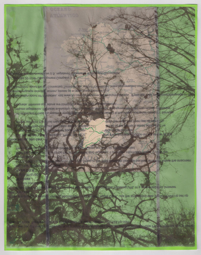 untitled
untitled
