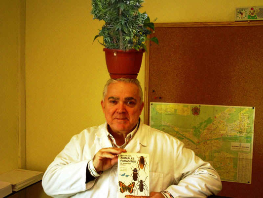 Daniel de Cullá
